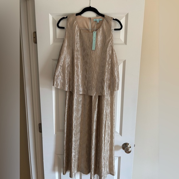 She + Sky Other - NWT  She + Sky 2 piece sleeveless top and maxi shirt in Champagne. A stunner!